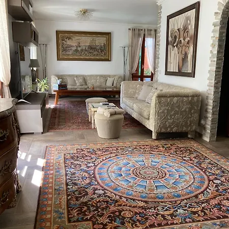 Roma 瓦莱克罗夏